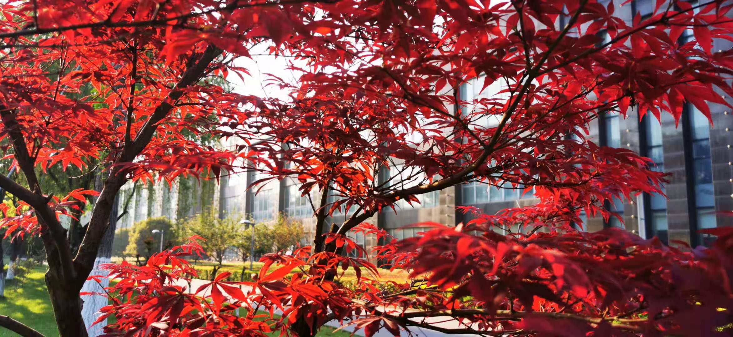 191613695582804416.jpeg 微信圖片_20210219084437.jpg