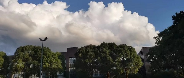 271658882137141533.jpeg 1.jpg