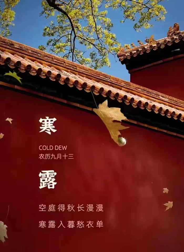 091665278523579898.png image.png