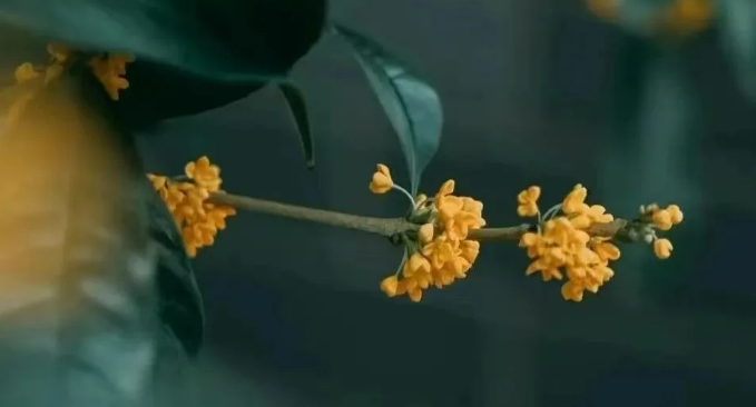 071730960961137450.png image.png