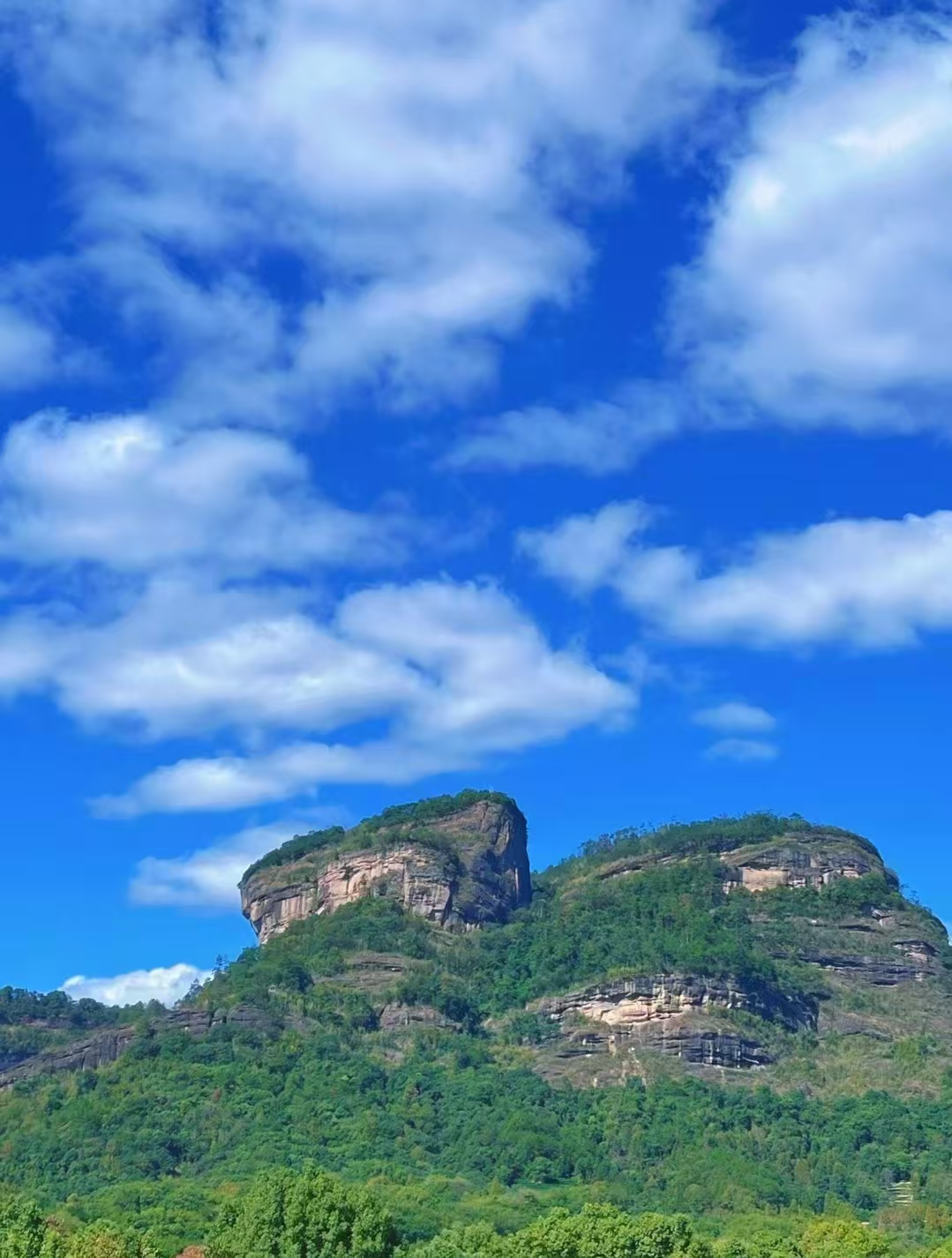 111731307903370972.jpeg 5589c108385bc770440463052c8a21f.jpg